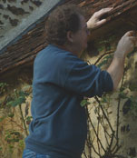 Ian Morris, Chartered Building Surveyor - a building pathologist